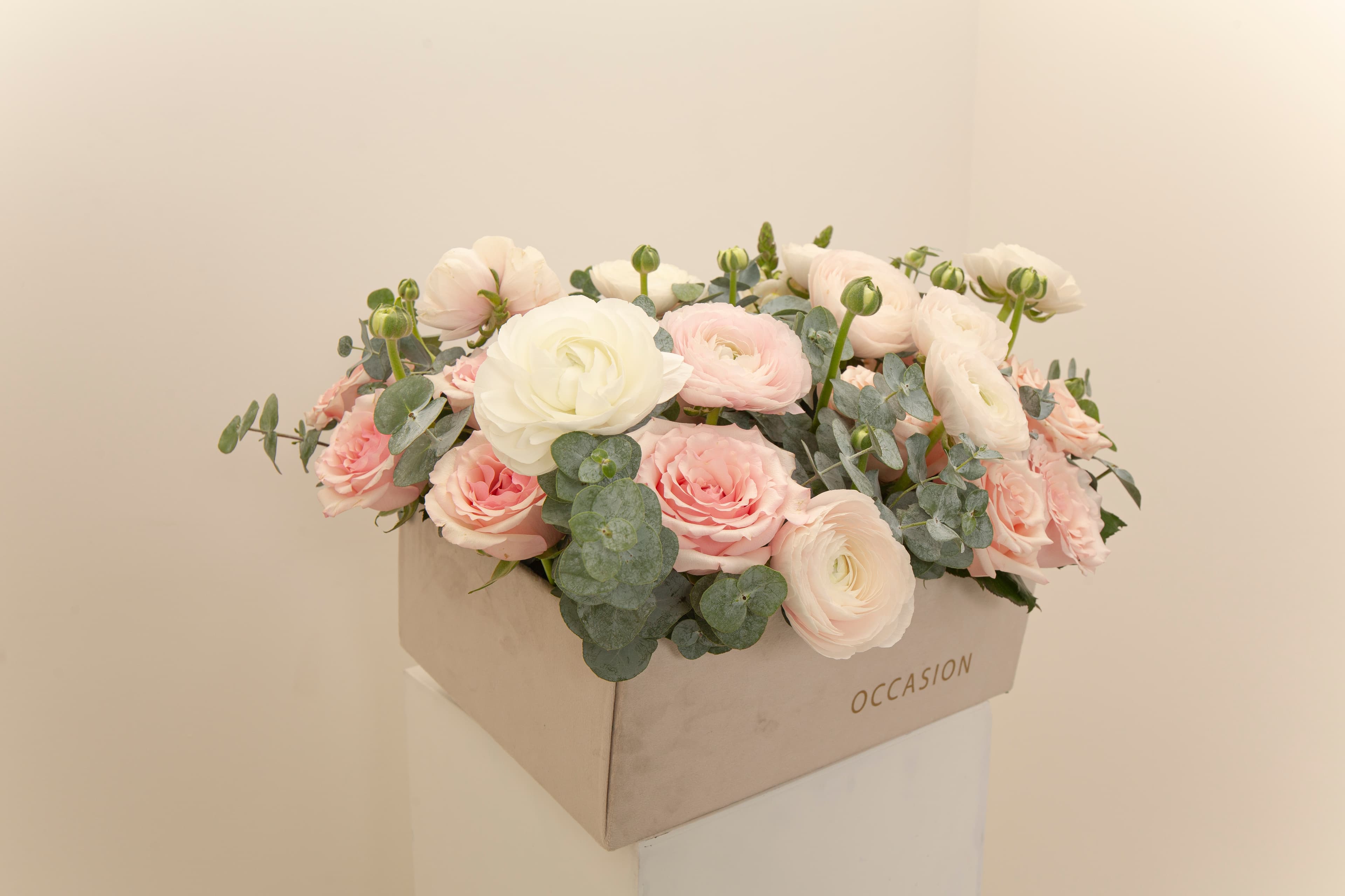 Arreglo en caja — Occasion