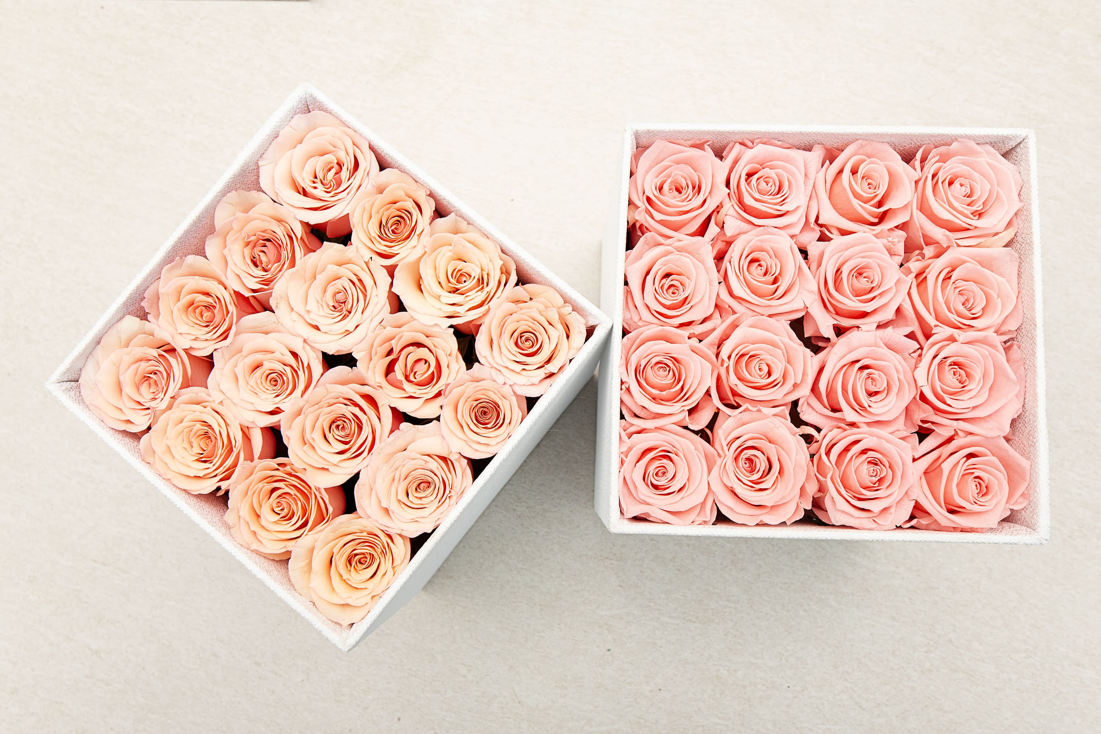 Cajas con rosas preservadas en tonos suaves — Occasion