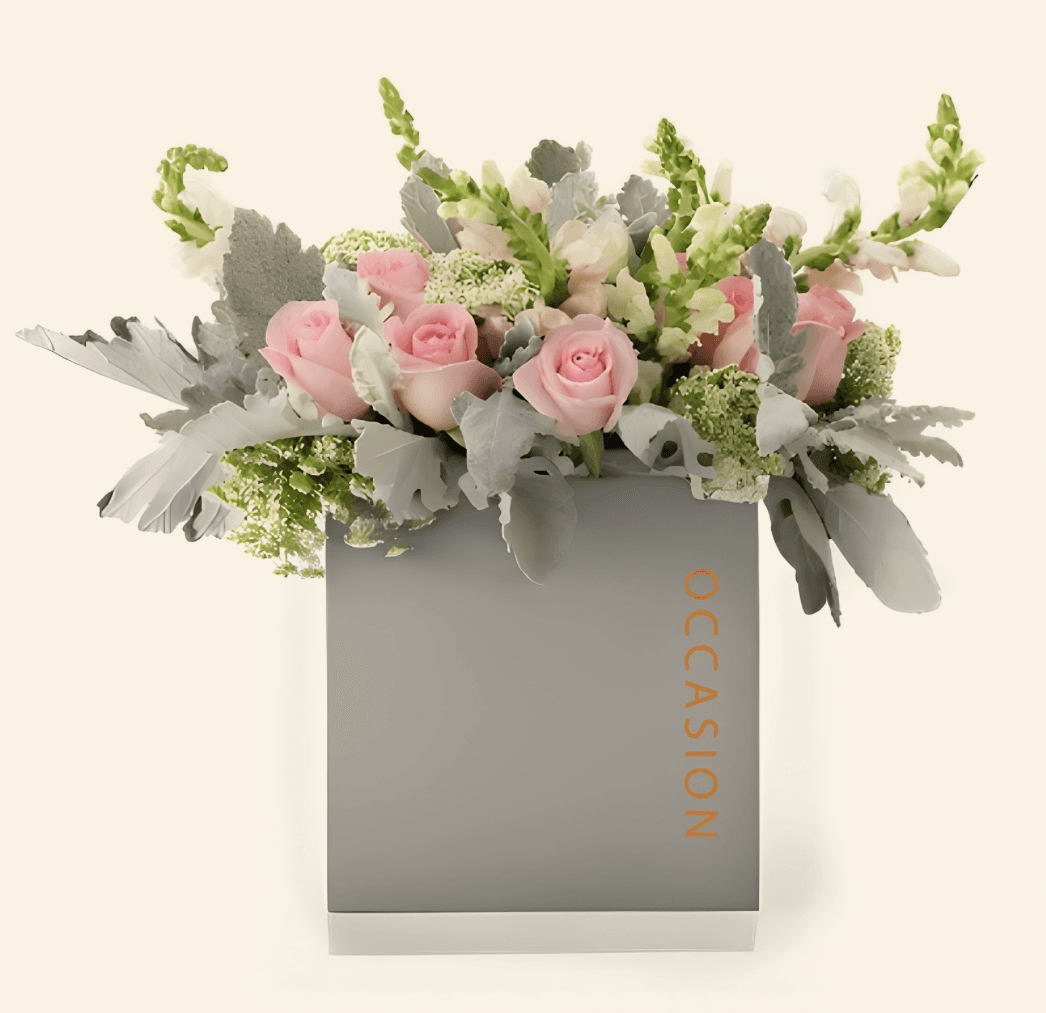 Arreglo en caja — Occasion
