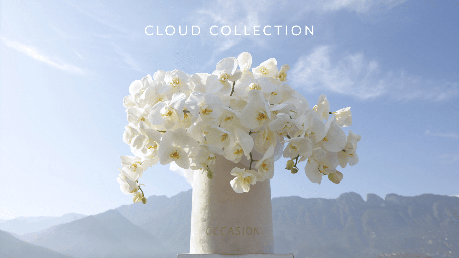 Valentine’s - Occasion