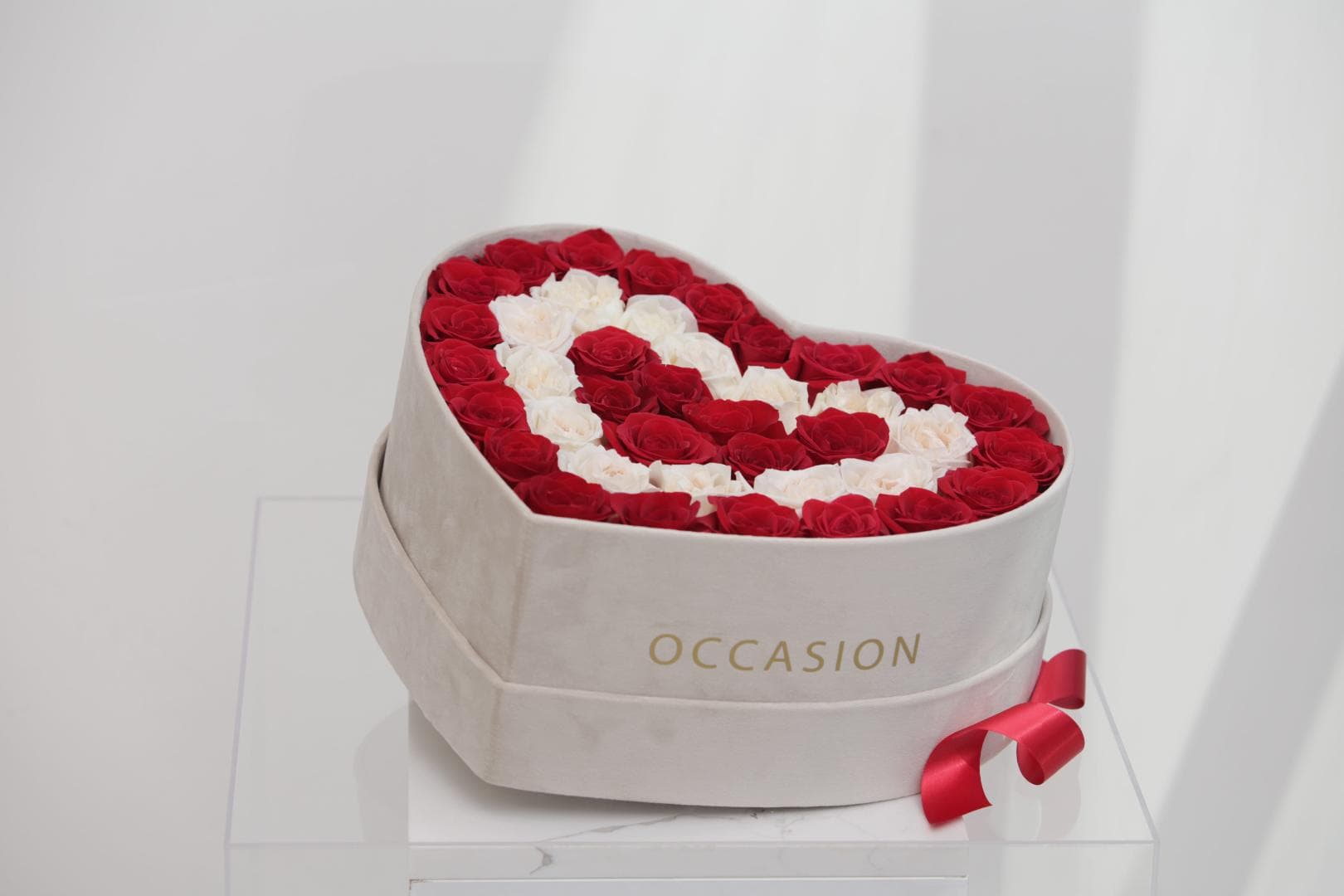 Corazón 2 velvet con 60 Rouge Roses & Contorno en Snow Roses