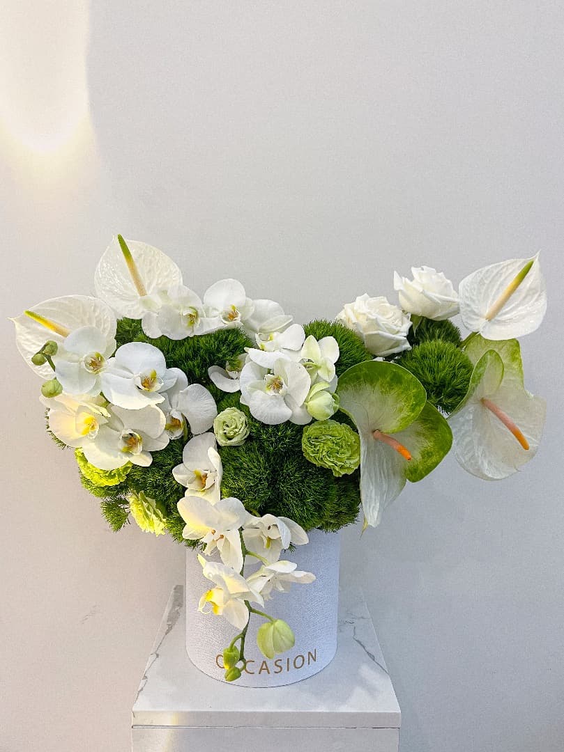 Cilindro Green Garden plus