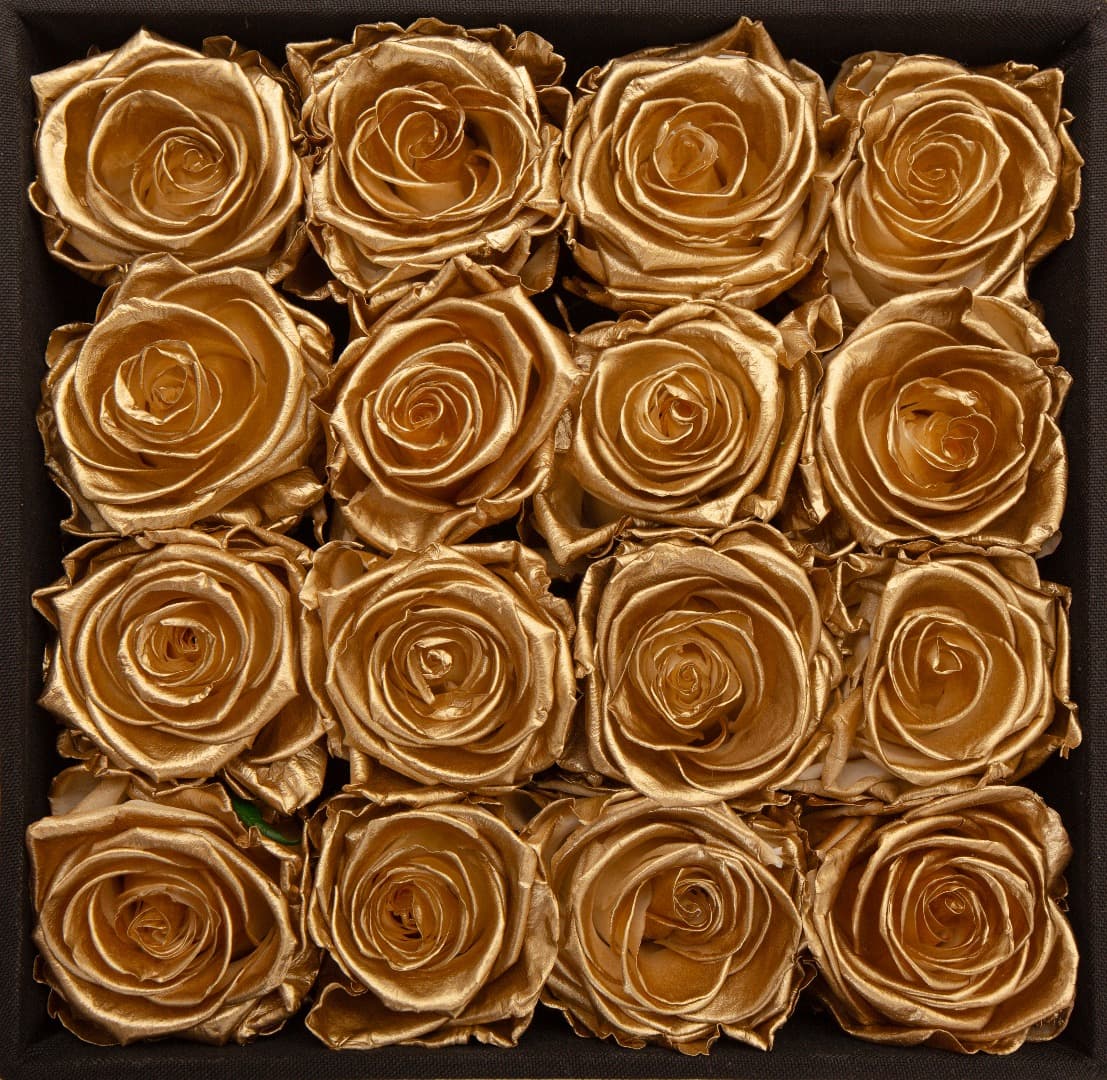 Rosa Preservada Golden