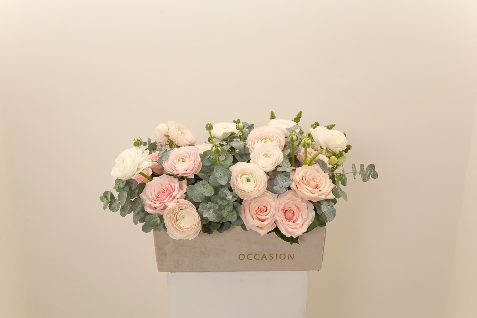 Jardin De Mama Velvet