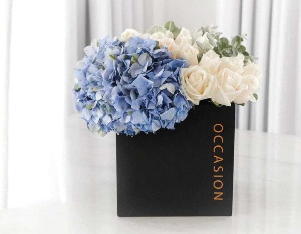 Caja 1 Negra con 20 Snow Roses y hortensias.
