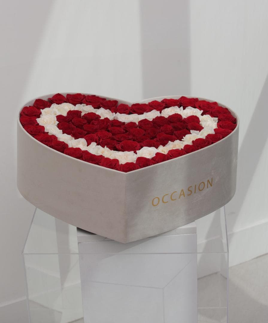 Corazón 3 velvet con 100 Rouge Roses & Contorno en Snow Roses