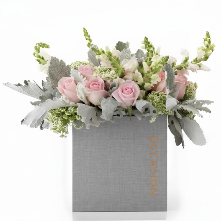 Caja 1 Gris con 20 Soft Pink Roses, perrito y miller. Diseño en hongo.