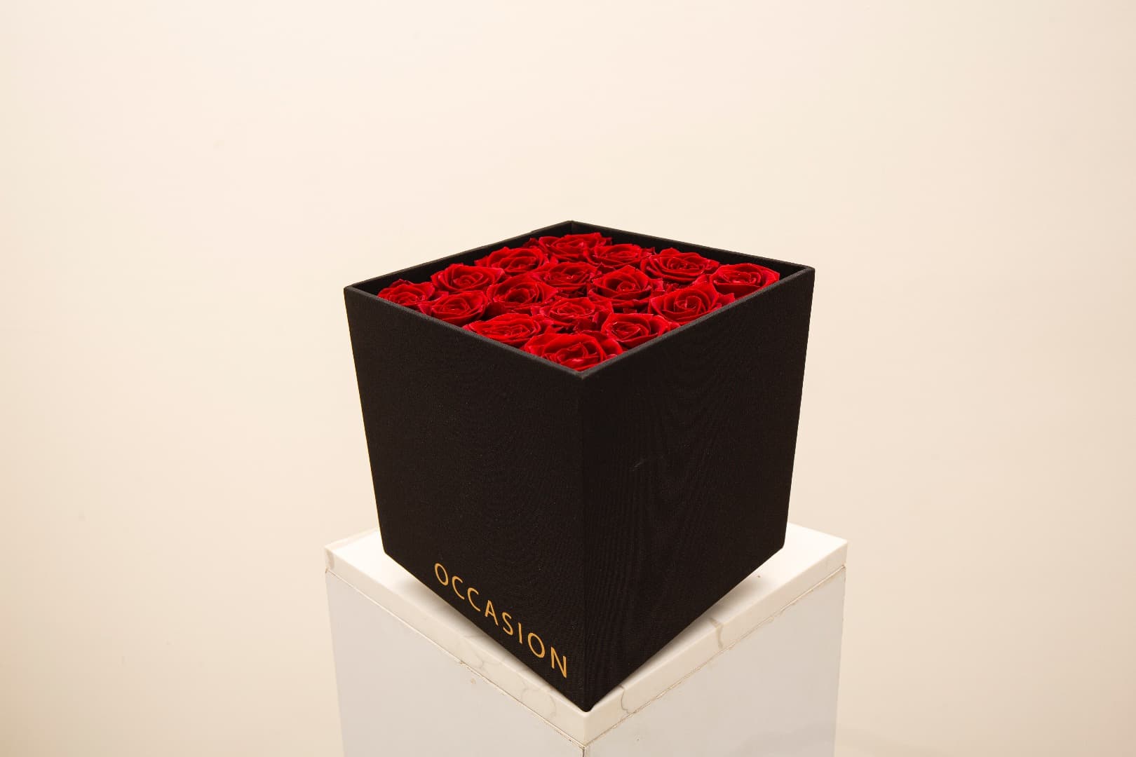 Rosa Preservada Vibrant red