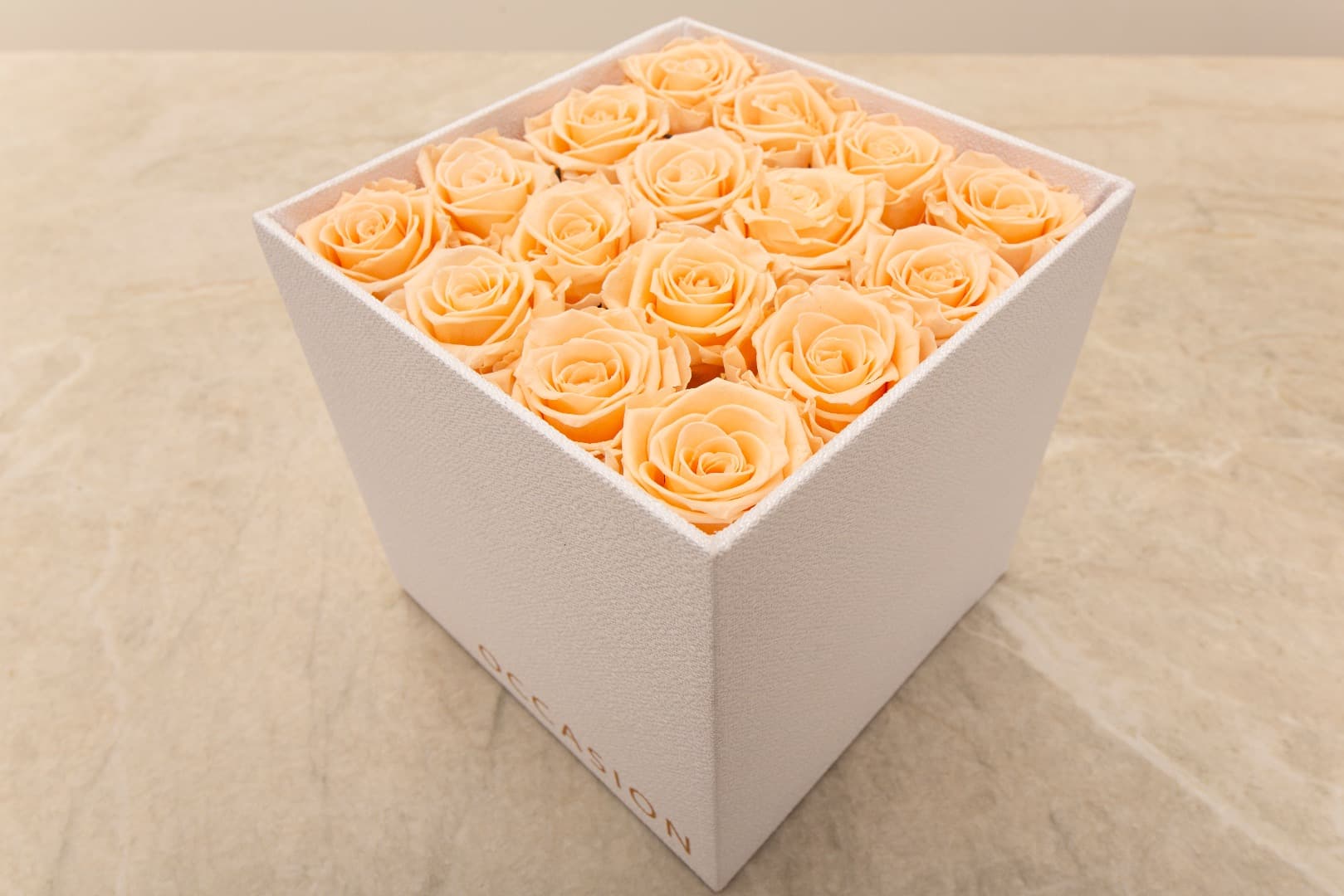 Rosa Preservada Cantaloup