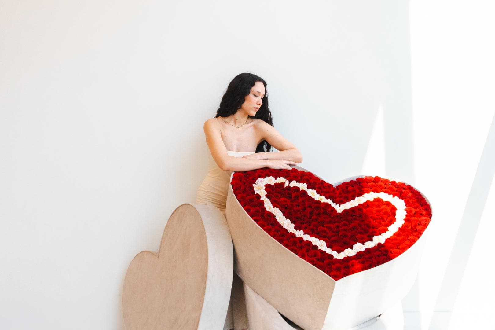 Corazón Velvet 500 Rouge Roses