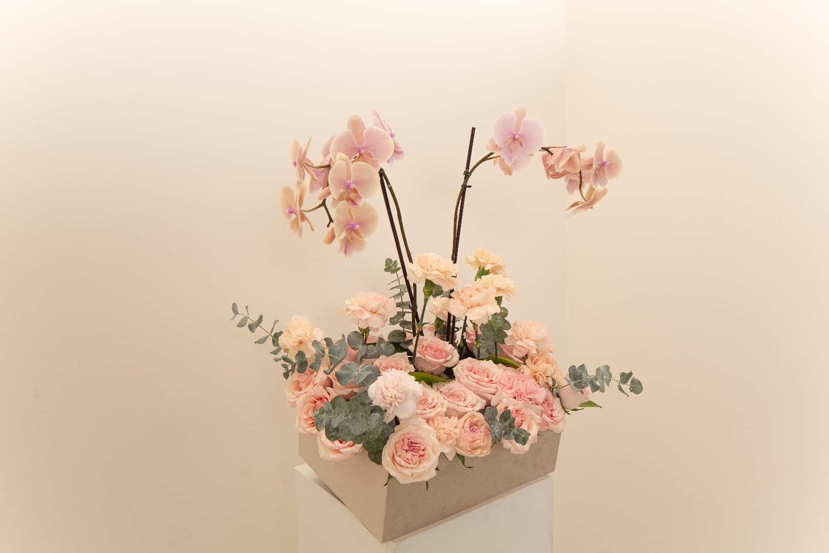 Jardin De Orquídea Para Mama